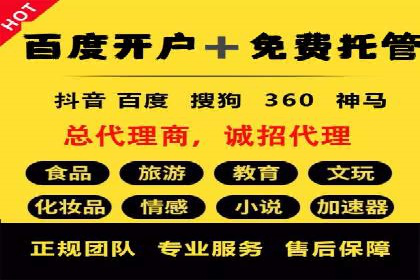 行业标杆：SEM托管公司案例解析